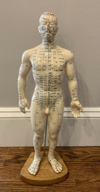 Vintage Acupuncture Dummy/rubber Doll Medical Model Male / 19 1/2 " / Chinese