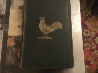 The Practical Poultry Keeper By Lewis Wright.  6th Edition.