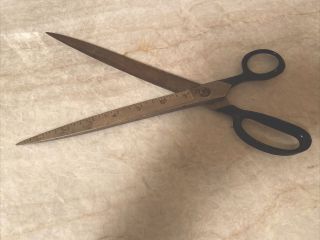 Vintage 12 " Tailors Dressmakers Scissors Collectible Ruler Inches On Blade