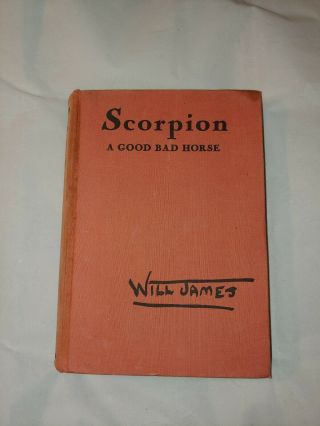 Scorpion,  A Good Bad Horse Will James Hc 1936 Scribner 