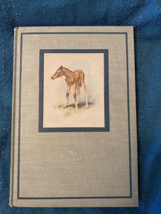 First Edition 1945 The Red Pony By John Steinbeck Illustrated By Wesley Dennis