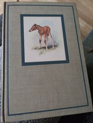 The Red Pony By John Steinbeck Illustrated Ed 1945 Hardcover