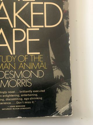 1967 BOOK - THE NAKED APE by DESMOND MORRIS - ZOOLOGIST ' S STUDY OF HUMAN ANIMAL 2