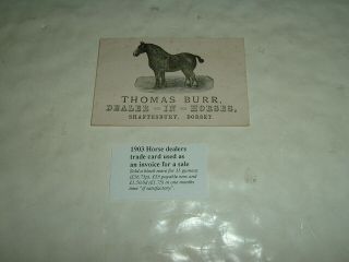 Shaftesbury Dorset Thomas Burr Horse Dealer Trade Card Invoice 1903
