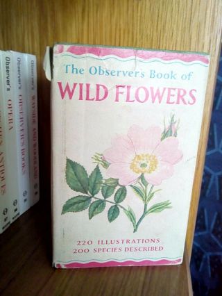 The Observers Book Of Wild Flowers 1965
