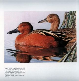 Duck Stamps: Art In The Service Of Conservation