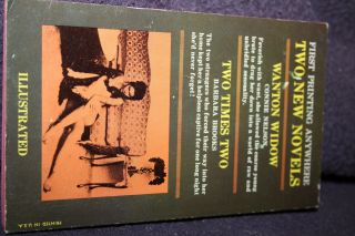 vintage paperback book WANTON WIDOW 1967 TWO TIMES TWO sleaze gga midwood double 3