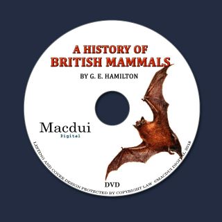A History Of British Mammals 1910 By Gerald E.  Hamilton 4 Pdf E - Books 1 Data Dvd