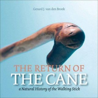 The Return Of The Cane: A Natural History Of The Walking Stick By Van Den Broek