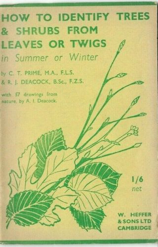 How To Identify Trees & Shrubs From Leaves Or Twigs In Summer Or Winter 1945