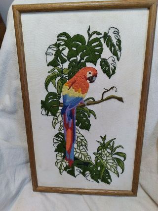Vintage Parrot Crewel Embroidery 1978 Sunset Stitchery 2409 With Frame 13x21