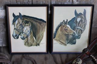 Vintage Horse Prints,  Ole Larsen Framed Horse Pictures,  Western Litho