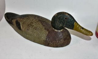 Antique Mallard Duck Decoy Paint Old Primitive American Folk Art Lure