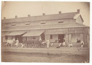 Large Photo Of British & Indian People In India C1860s