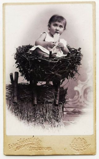 Antique Cdv Photo: Cute Baby Sitting In Stork Nest On The Roof C.  1900 Fo.  936