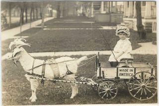 Child In Goat Wagon “made In America” St.  Paul Minnesota Banner 1915 Photo Rppc