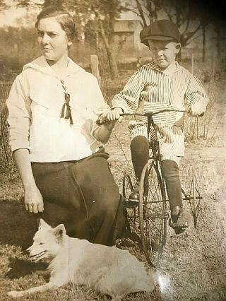 Antique Early 1900 ' s Photograph Boy on Big Wheel Trike Dog 8 x 10 2
