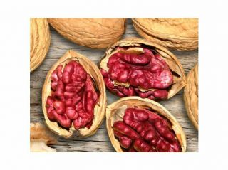 Extra Rare - Red King Wallnut - 100 Seeds