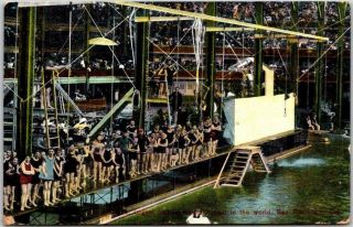 Vintage 1909 San Francisco,  California Postcard Sutro Baths Swimming Pool Scene
