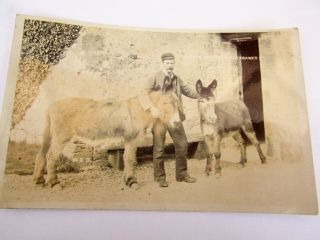 Jack & Donkey Water Drawers - Old Isle Of Wight Postcard