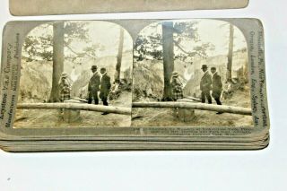 A877,  Pres.  Harding Real Photo,  Stereoview.  Yellowstone W Wife