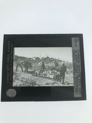 Magic Lantern Slide Photo 1938 SLEDGING HERRING FROM BOAT TO SHED Quebec 2