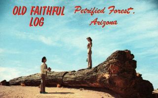 Petrified Forest,  Old Faithful Log,  Arizona - Postcard (b16)