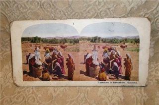 Antique Stereograph Stereoview Stereo Card Threshers In Bethlehem Palestine Exc
