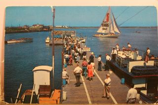 Jersey Nj Atlantic City Inlet Pier Postcard Old Vintage Card View Standard