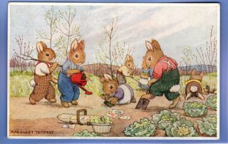 Old Vintage Postcard Artist Signed Margaret Tempest Rabbits Gardning Animals