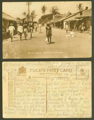 Ceylon Old Tuck 