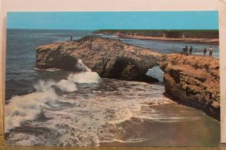 California Ca Santa Cruz Natural Bridges State Park Postcard Old Vintage Card Pc