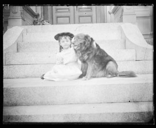 Late 1800s Early 1900s Glass Negative,  Girl With Dog,  Unknown Location