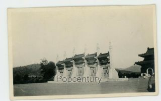 China 1920 Photograph Peiping Peking Usmc Legation Temple Of Heaven Photo