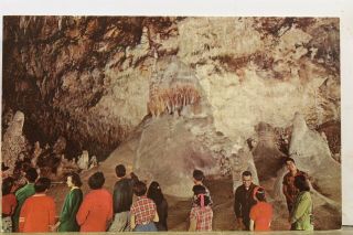 Mexico Nm Carlsbad Caverns National Park Caveman Postcard Old Vintage Card