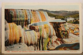 Yellowstone National Park Mammoth Hot Springs Terraces Postcard Old Vintage Card