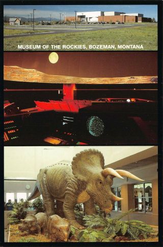 Museum Of The Rockies Montana Bozeman State University Vintage Postcard A08