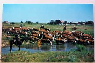 Texas Tx West Ranch Roundup Water Hole Postcard Old Vintage Card View Standard