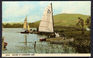 Sailing At Llangorse Lake,  Brecon.  1972 Vintage Postcard.  Uk Postage