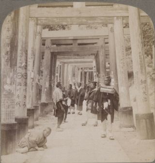 Japan Stereoview.  Under The Long Rows Of Sacred Torri At Shinto Temple Of Inari