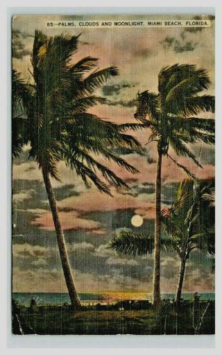 Vintage Postcard Miami Beach Fl Palm Trees Clouds Full Moon Beam Tropical