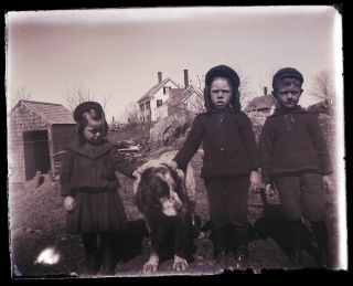 Late 1800s Early 1900s Glass Negative,  Two Young Boys,  One Young Girl,  Dog