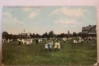 Ohio Oh Toledo Ottowa Park Having A Picnic Postcard Old Vintage Card View Postal