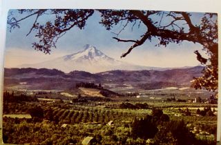 Oregon Or Mt Hood River Valley Cascade Mountain Range Postcard Old Vintage Card