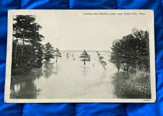 F8) Vintage Reelfoot Lake Union City Tenn Tn Postcard Rppc