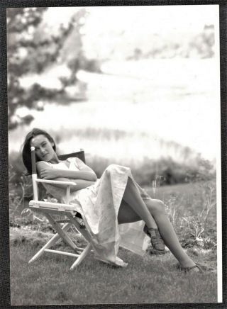 Vintage Photograph Sexy Young Woman Sitting In Chair In Backyard