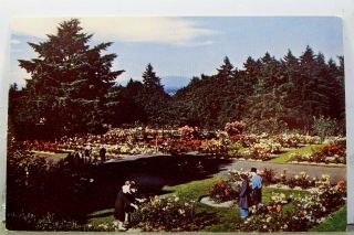 Oregon Or Portland Washington Park Portland Rose Test Gardens Postcard Old View