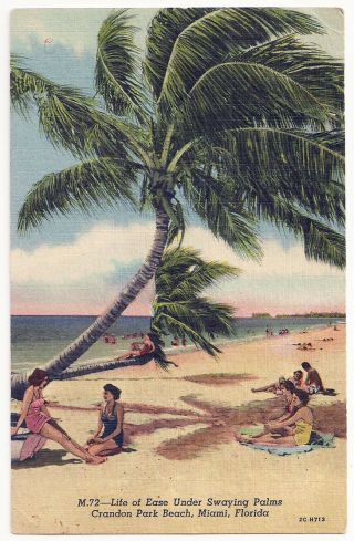Crandon Park Beach Miami Florida Vintage Linen Postcard