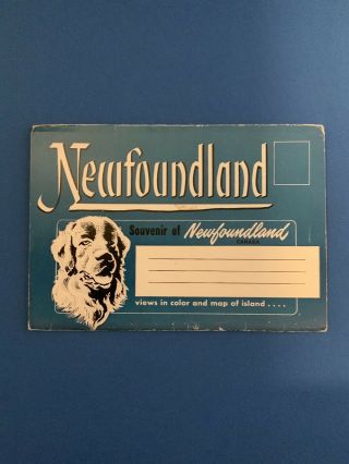 Vintage Newfoundland Souvenir Views In Color And Map Of Island