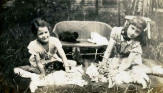 185 Vtg Photo Two Girls With Their Cats & Kittens C 1938